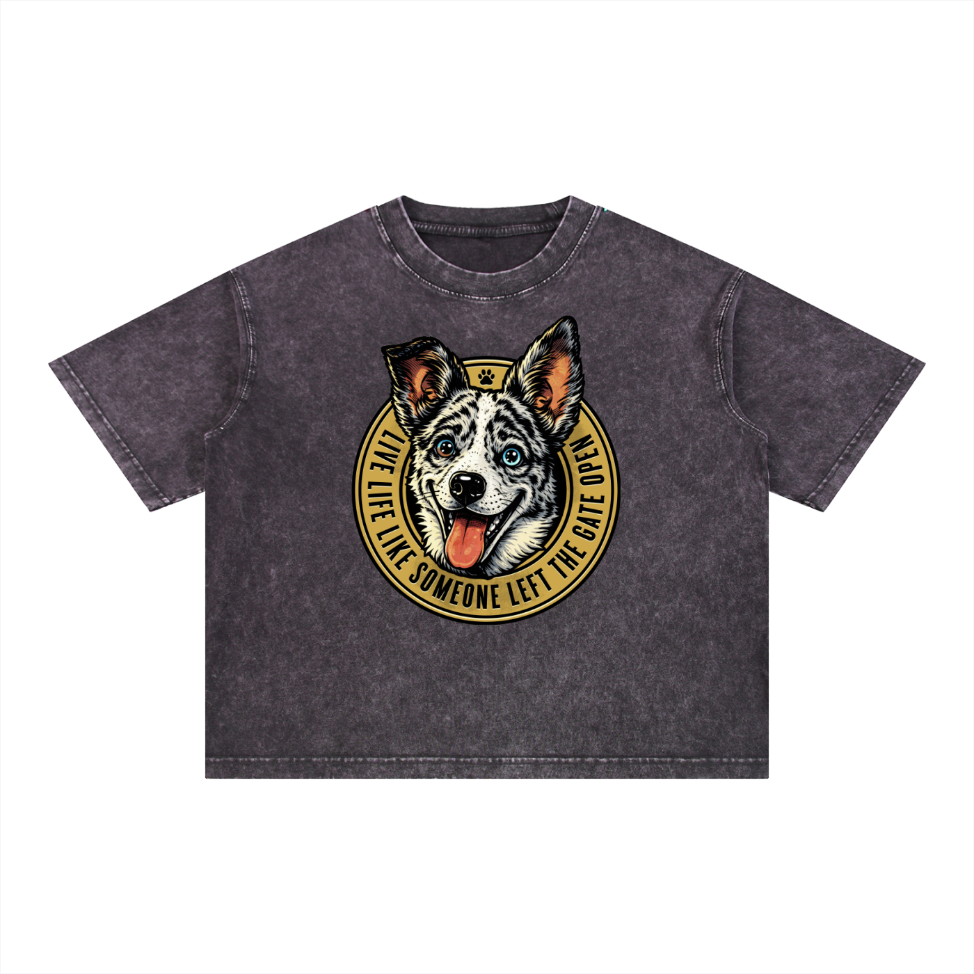 Willow Mineral Wash Boxy Cotton T-Shirt
