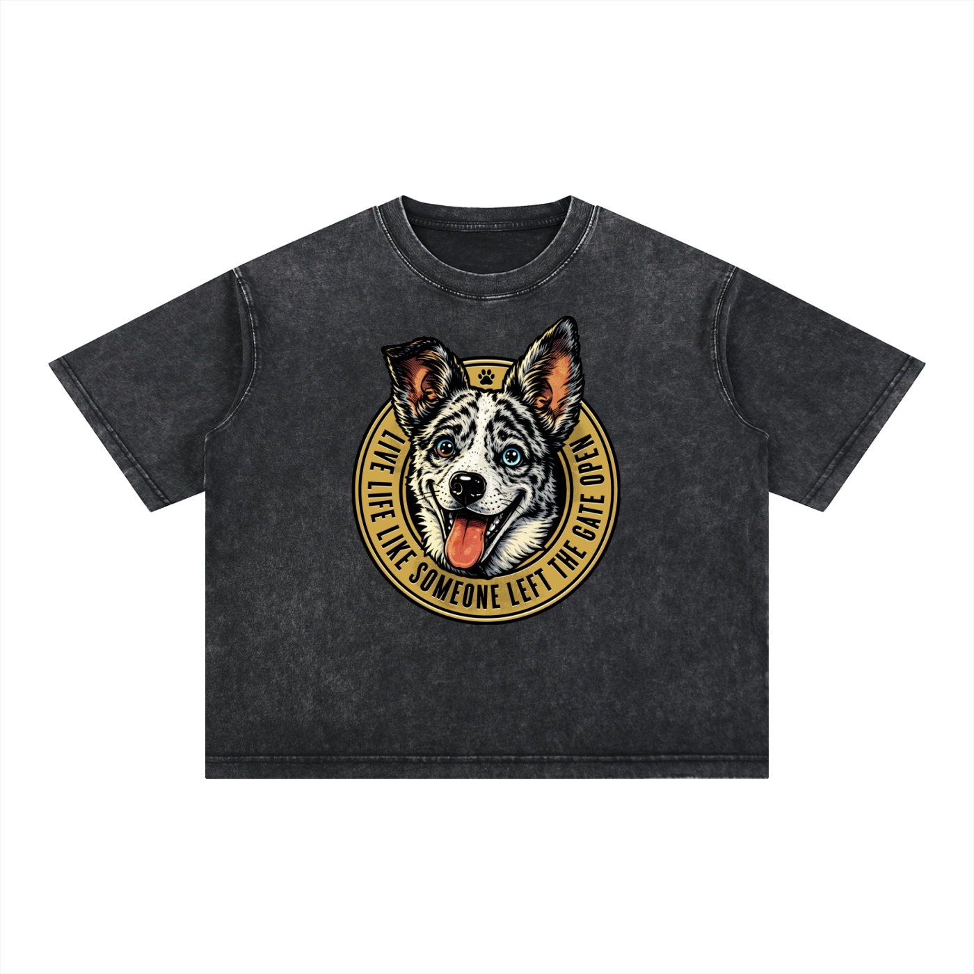 Willow Mineral Wash Boxy Cotton T-Shirt